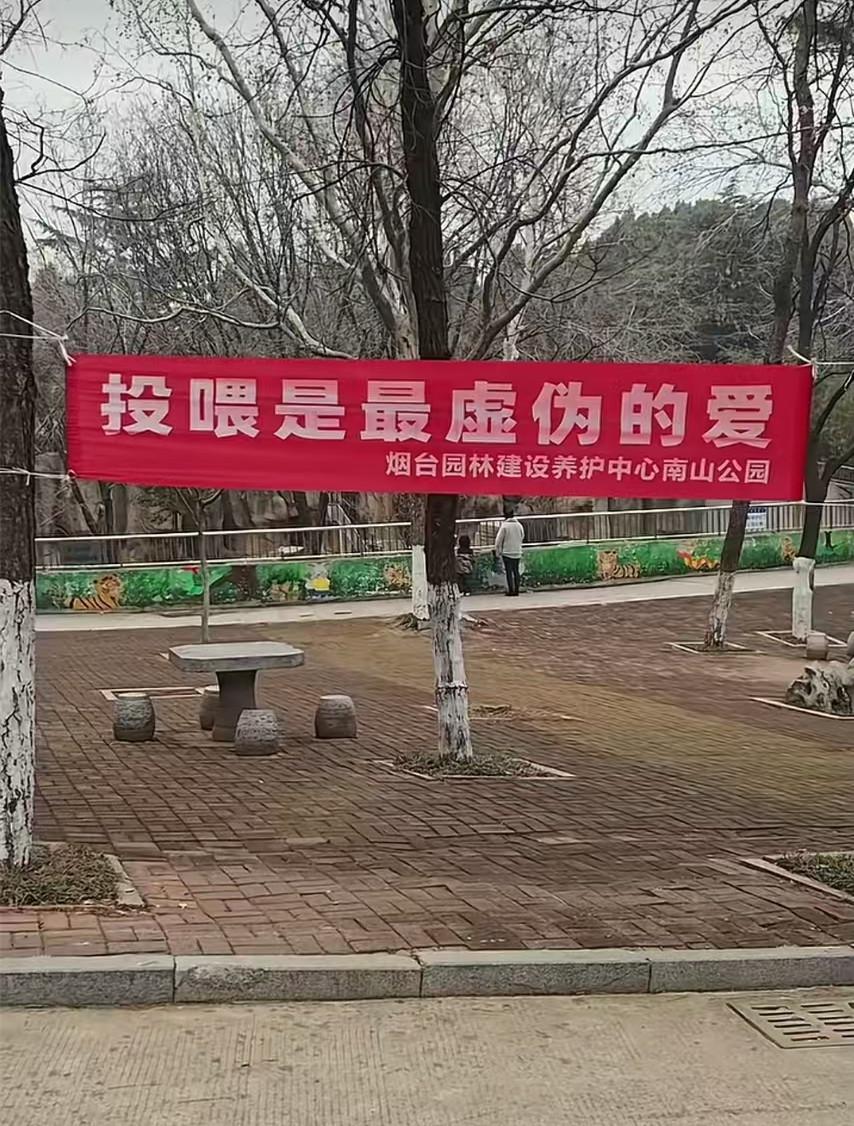 亚博中国官网-“投喂是最虚伪的爱！”烟台一动物园标语被指豪横，园方回应“卖投喂食品强制爱”质疑
